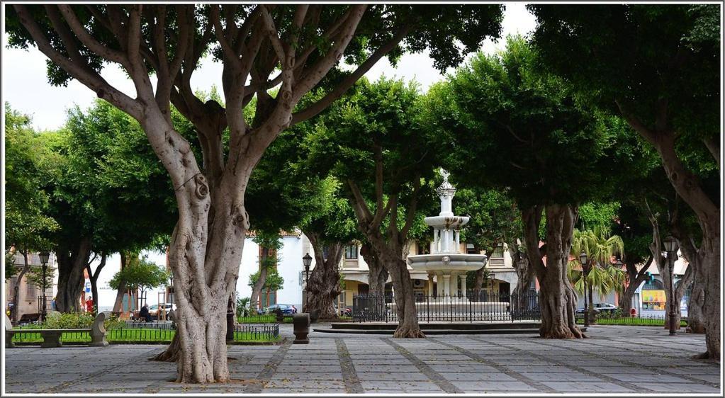 Residencial Gara Cerca Del Centro Daire La Laguna  Dış mekan fotoğraf